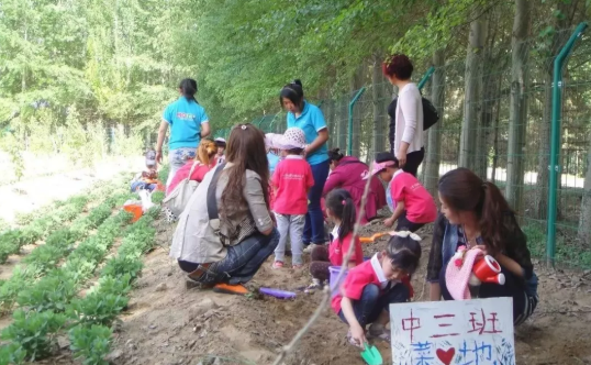 幼儿园植树节活动方案2019 植树节幼儿园活动目标过程
