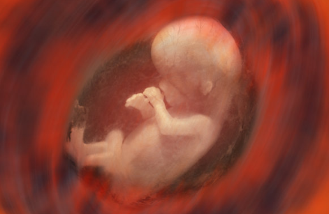 胎儿每天在子宫内干什么 除了吃饭睡觉有什么活动