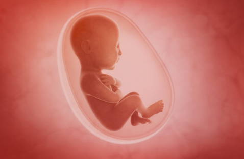 胎停会有什么症状或者征兆吗 安全度过孕期如何备孕