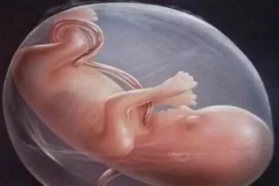 怎么判断胎儿是否缺氧 孕期判断胎儿缺氧的方法