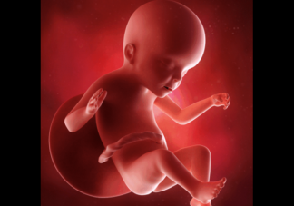 胎儿为什么晚上更活跃 晚上胎动频繁的原因