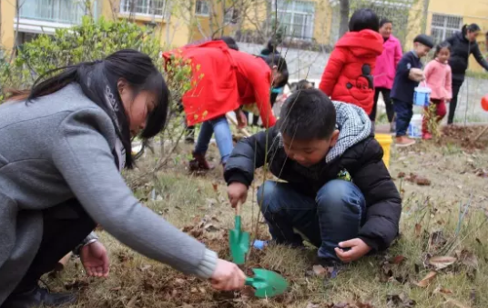 2019幼儿园植树节简讯报道 幼儿园植树节新闻报道