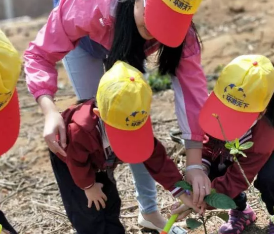 幼儿园大班植树节报道 2019幼儿园植树节活动报道