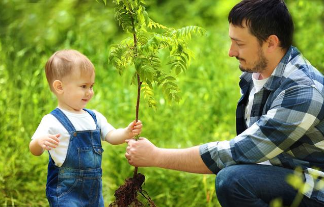 幼儿园植树节活动主题策划方案2019 幼儿园植树节活动主题策划方案三篇