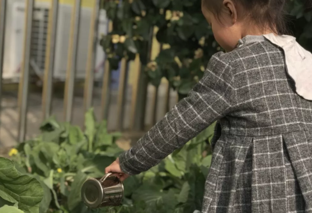 2019幼儿园植树节亲子活动报道 幼儿园植树节新闻活动报道