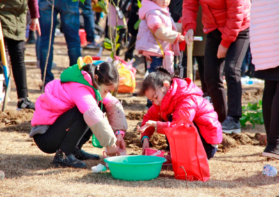 幼儿园3.12植树节活动感想 2019幼儿园植树节心得体会