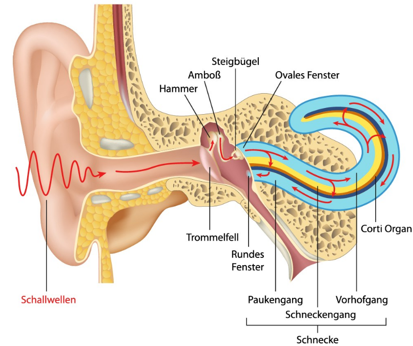 孩子听力障碍怎么治 孩子听力不好带助听器会不会奇怪