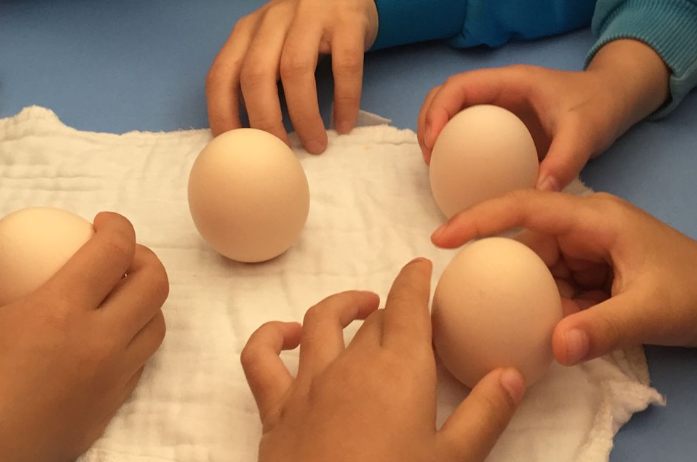 幼儿园中班春分竖蛋活动方案 幼儿园春分竖蛋活动内容