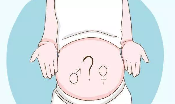 2019年3月15日受孕生男生女怎么看 农历二月初九怀孕是男孩还是女孩