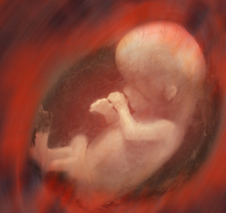 孕期胎儿的排泄物去哪里了呢 答案让妈妈哭笑不得