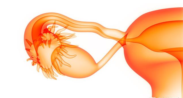卵巢囊肿患者吃什么好 日常如何预防卵巢囊肿