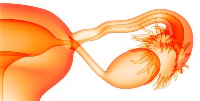 女性输卵管不通有哪些表现 女性如何预防输卵管不通