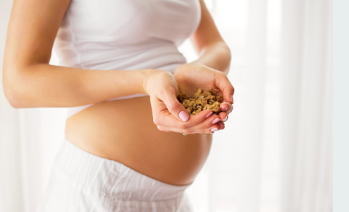 刚怀孕吃什么营养品比较好 刚怀孕的妈妈需要补什么