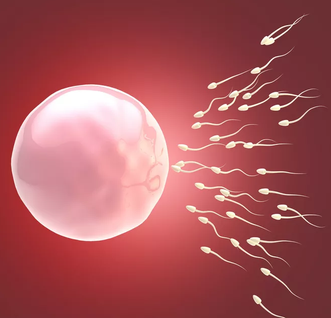 精液清澈是精子少吗 精子成活率低怎么办