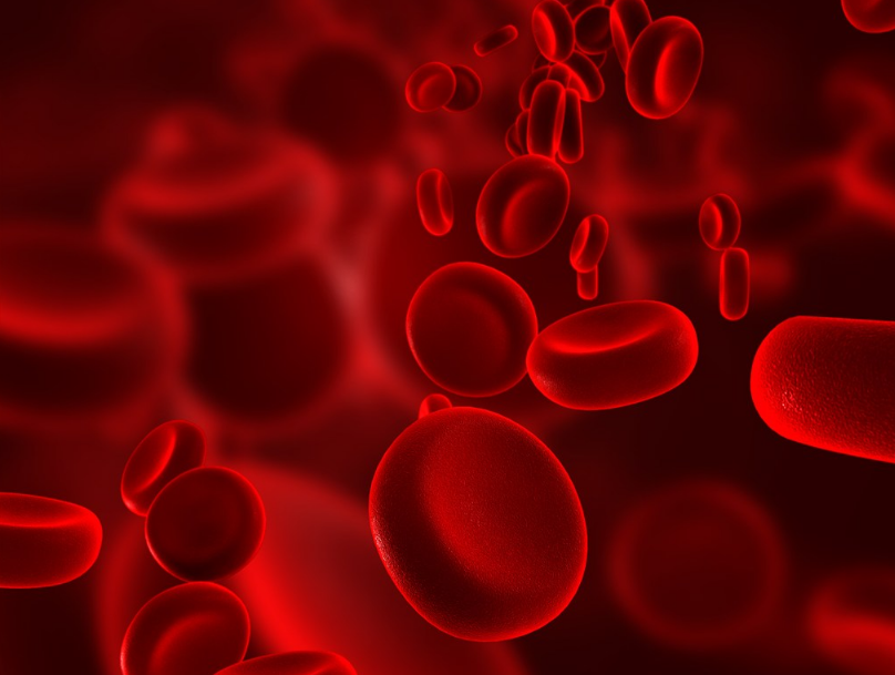 孩子血常规异常是什么情况 孩子白细胞减少需要看医生吗