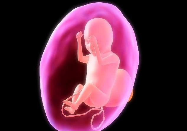 胎儿猛长期孕妇有什么感觉 胎儿发育阶段怎么补充营养