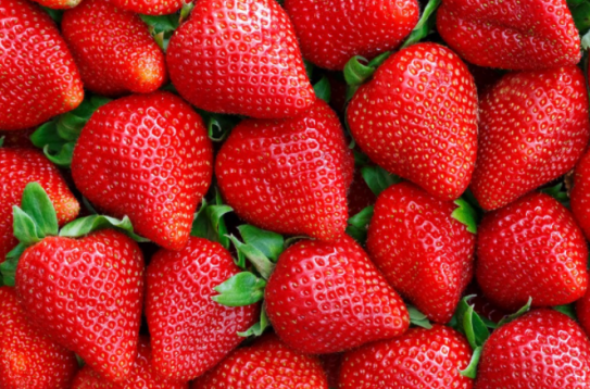 春天孩子能吃草莓吗 春天吃草莓的注意事项