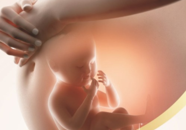 做四维宝宝不配合怎么办 做四维胎儿不配合的原因