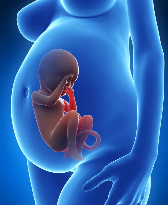 胎儿头部过大影响顺产吗 孕晚期胎儿头部偏大怎么办