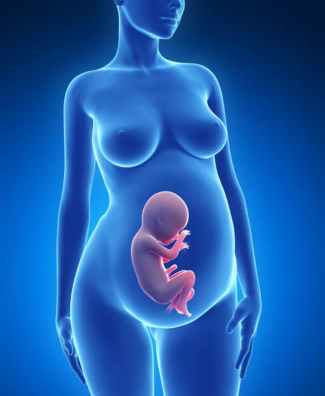 胎儿头部|胎儿头部过大影响顺产吗 孕晚期胎儿头部偏大怎么办