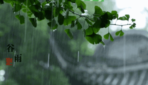 谷雨节气的由来 谷雨的传说故事介绍