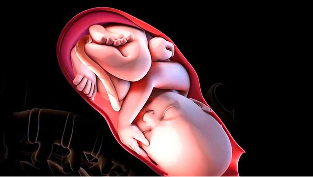 胎儿是怎么从狭窄的产道出来的 分娩的几个过程