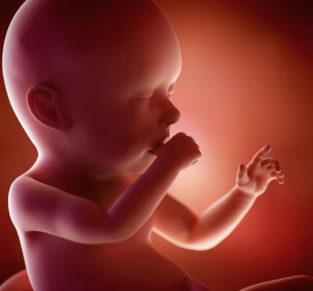 孕妈体重增长不明显对胎儿影响大不大 影响胎儿生长发育的因素