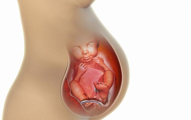 胎盘厚度多少正常 胎盘厚度异常有什么问题
