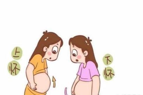 孕妇上怀和下怀有什么区别 上怀和下怀的不同点