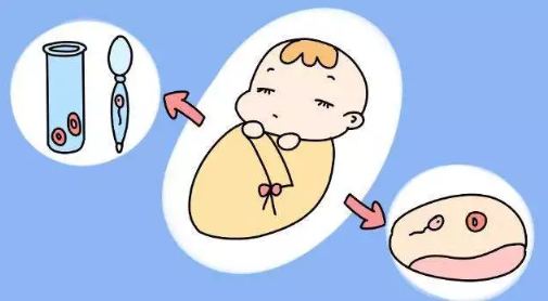 中国大陆首例试管婴儿当妈 试管婴儿和正常婴儿有什么区别