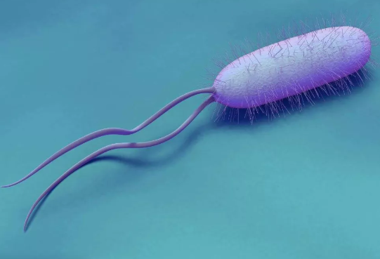 小孩幽门螺旋杆菌怎么查 小孩多大可以检查幽门螺旋杆菌