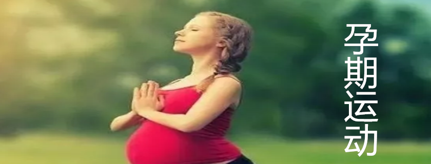 孕妇易胖体质怎么运动 易胖体质孕期运动方法