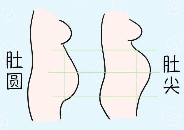 孕妇肚子|怎么看孕妇肚子尖还是圆 孕妇尖肚子和圆肚子对照图：