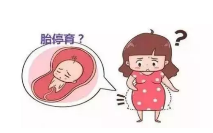 什么是胎心胎芽 怀孕多长时间能看到胎心胎芽