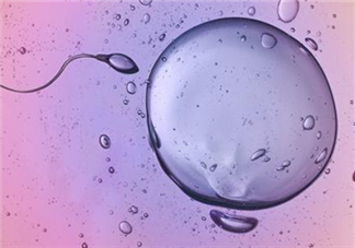卵泡多就能怀孕吗 什么样的卵泡更容易受孕