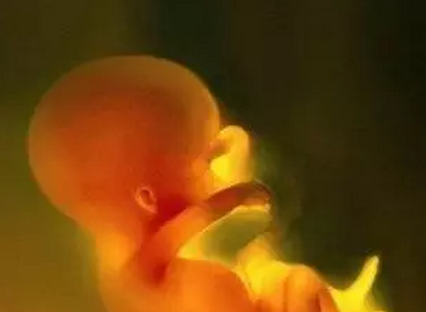 胎儿|胎儿缺氧孕妇会有感觉吗 这些情况可能是宝宝缺氧了