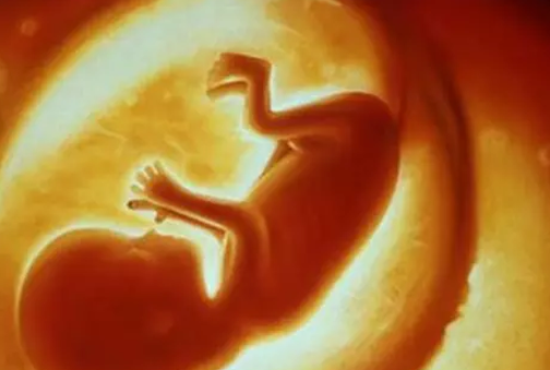 [怀孕5个月胎教怎么教]怀孕5个月胎教怎么触摸 怀孕5个月胎教什么姿势好