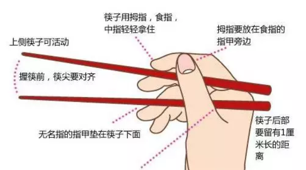 宝宝|孩子是左撇子怎么学习用筷子 左撇子怎么学习用筷子