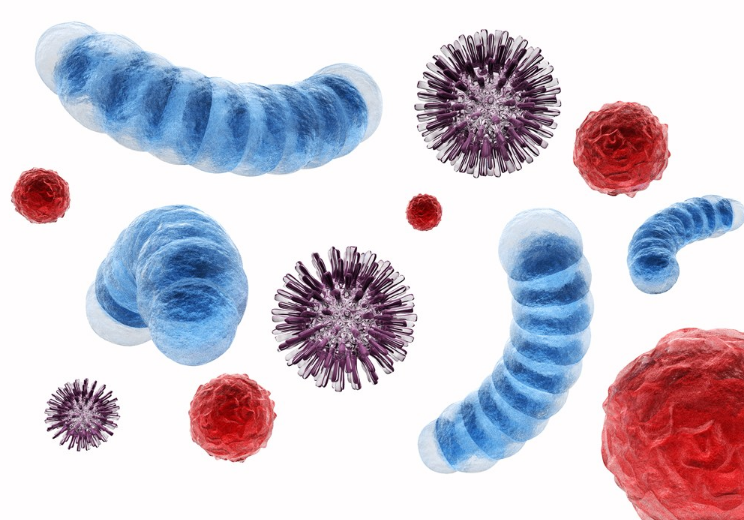 孩子是如何感染幽门螺杆菌的 幽门螺杆菌如何传染给孩子