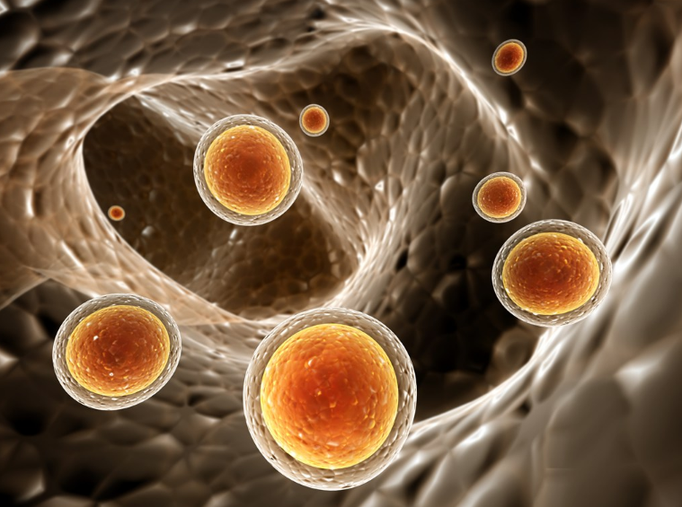 感染幽门螺旋杆菌是什么病 哪些人最容易感染幽门螺旋杆菌