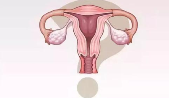 输卵管堵塞可以做试管婴儿吗 输卵管堵塞怎么样才能怀孕