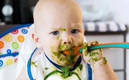 宝宝能吃菠菜吗 如何正确给宝宝食用菠菜