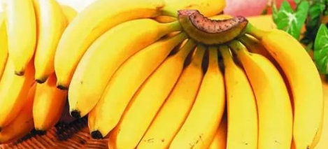 哺乳期能吃香蕉吗 哺乳期吃香蕉能治便秘吗