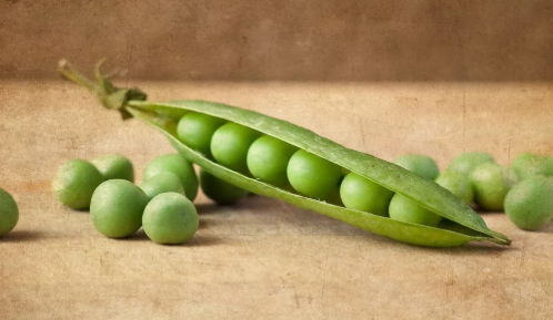 哺乳期吃豌豆下奶吗 哺乳期吃豌豆的好处有哪些