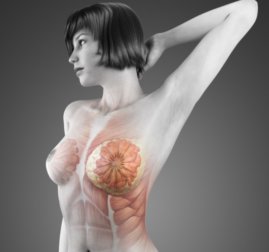 女性乳腺疾病有哪些症状 正确保养乳腺的方法