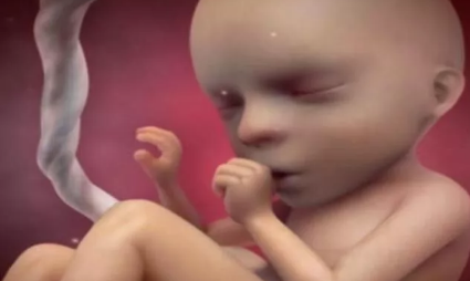 怀孕后胎儿饿会表现出什么信号 怀孕了胎儿会饿吗