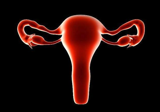 单角子宫会影响生育吗 单角子宫如何备孕