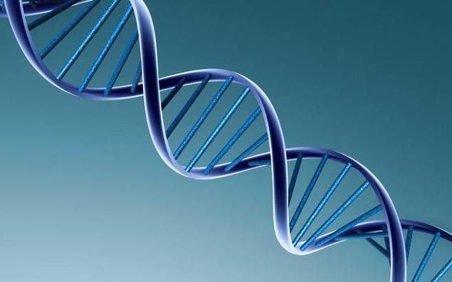无创DNA检测可以筛查所有的风险吗 可以替代其他产前检查吗