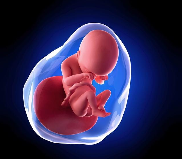 怀孕几个月进行胎教比较好 常见的6个胎教方法