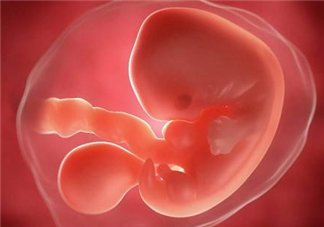 怀孕多久可以看到胎心胎芽 怀孕没有胎心胎芽要保胎吗